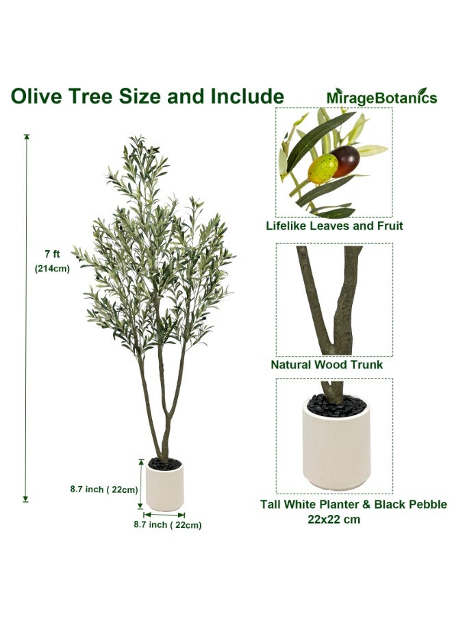 MirageBotanics 7ft Artificial Olive Trees Indoor,Faux Olive Tree Lifelike Natural 3 Trunks with White Planter Pot, Artificial Plants Lifelike Fruits for Office Meeting Room Living Room Indoor Outdoor Home Decor - Image 3